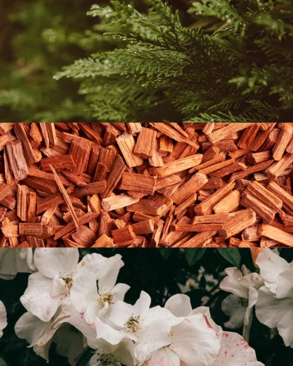 “Santal & Tonka” fragrance – Grand Hotel Vilnius by Cereria Molla 1899